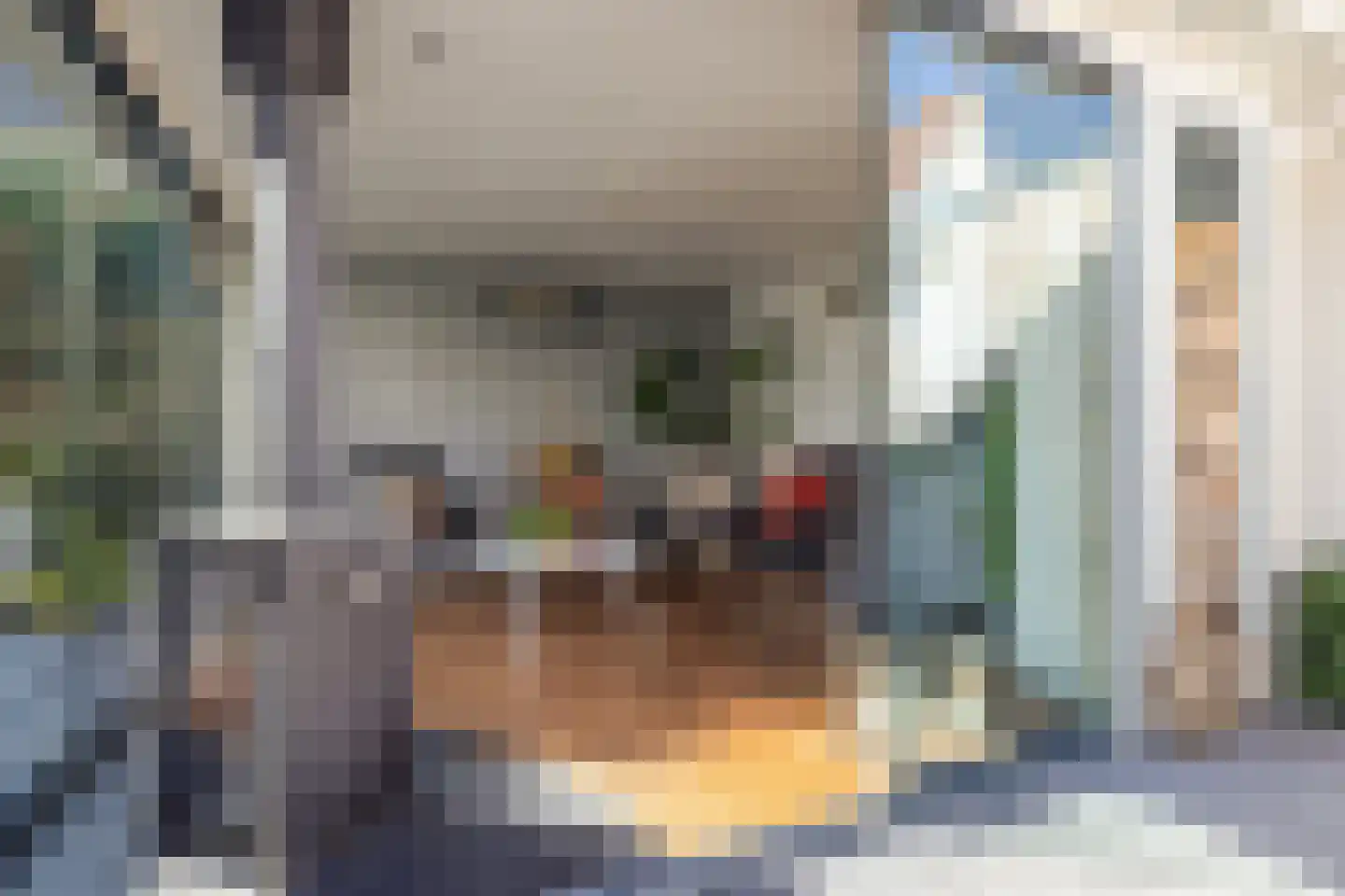 de Loonwerker 5 Leende thumbnail 33