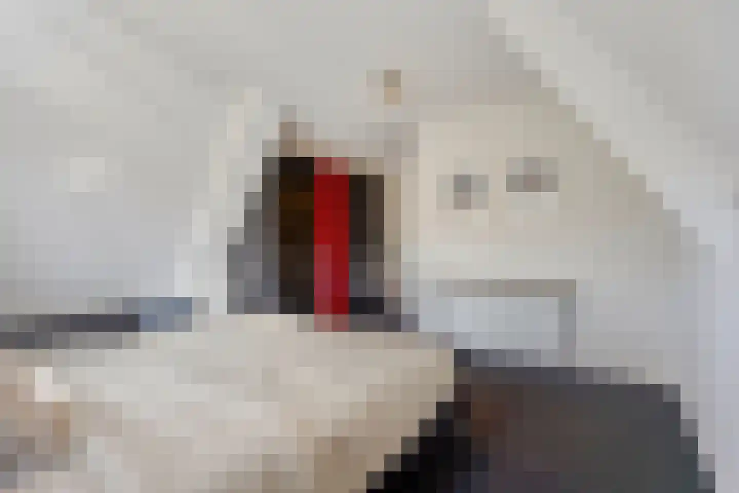 de Loonwerker 5 Leende thumbnail 34