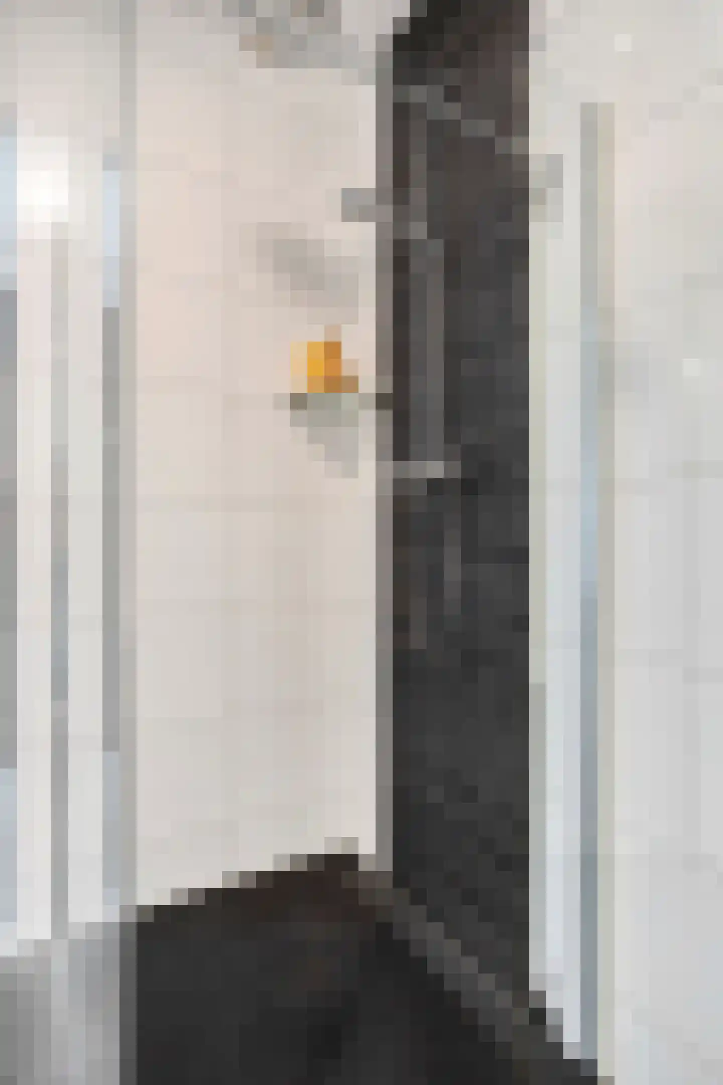 de Loonwerker 5 Leende thumbnail 37
