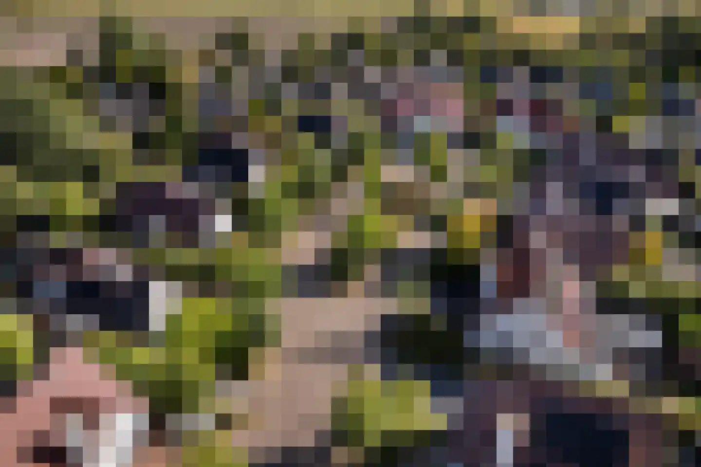 de Loonwerker 5 Leende thumbnail 38