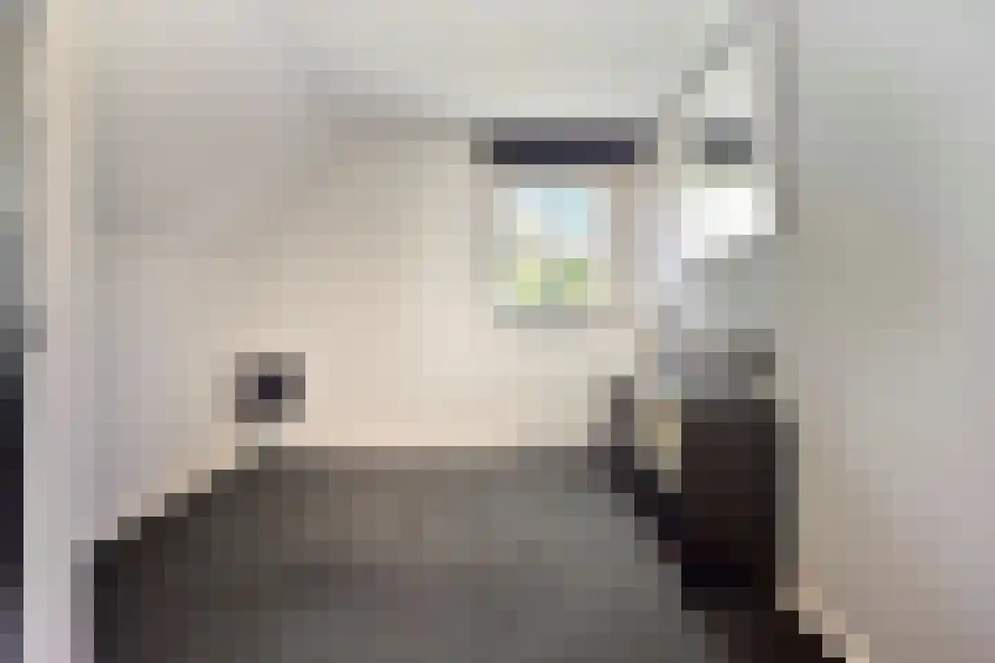 de Loonwerker 5 Leende thumbnail 47