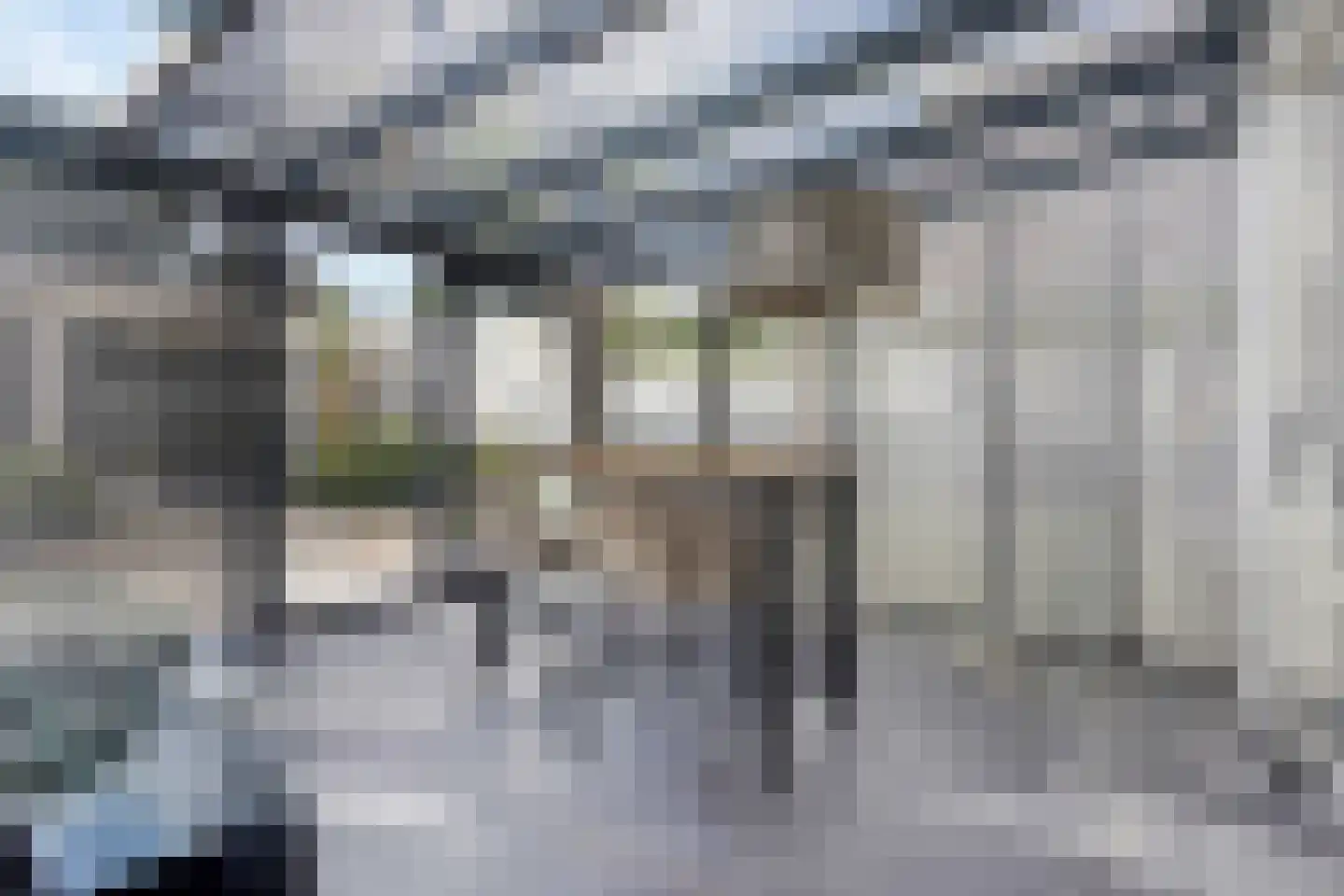 de Loonwerker 5 Leende thumbnail 5
