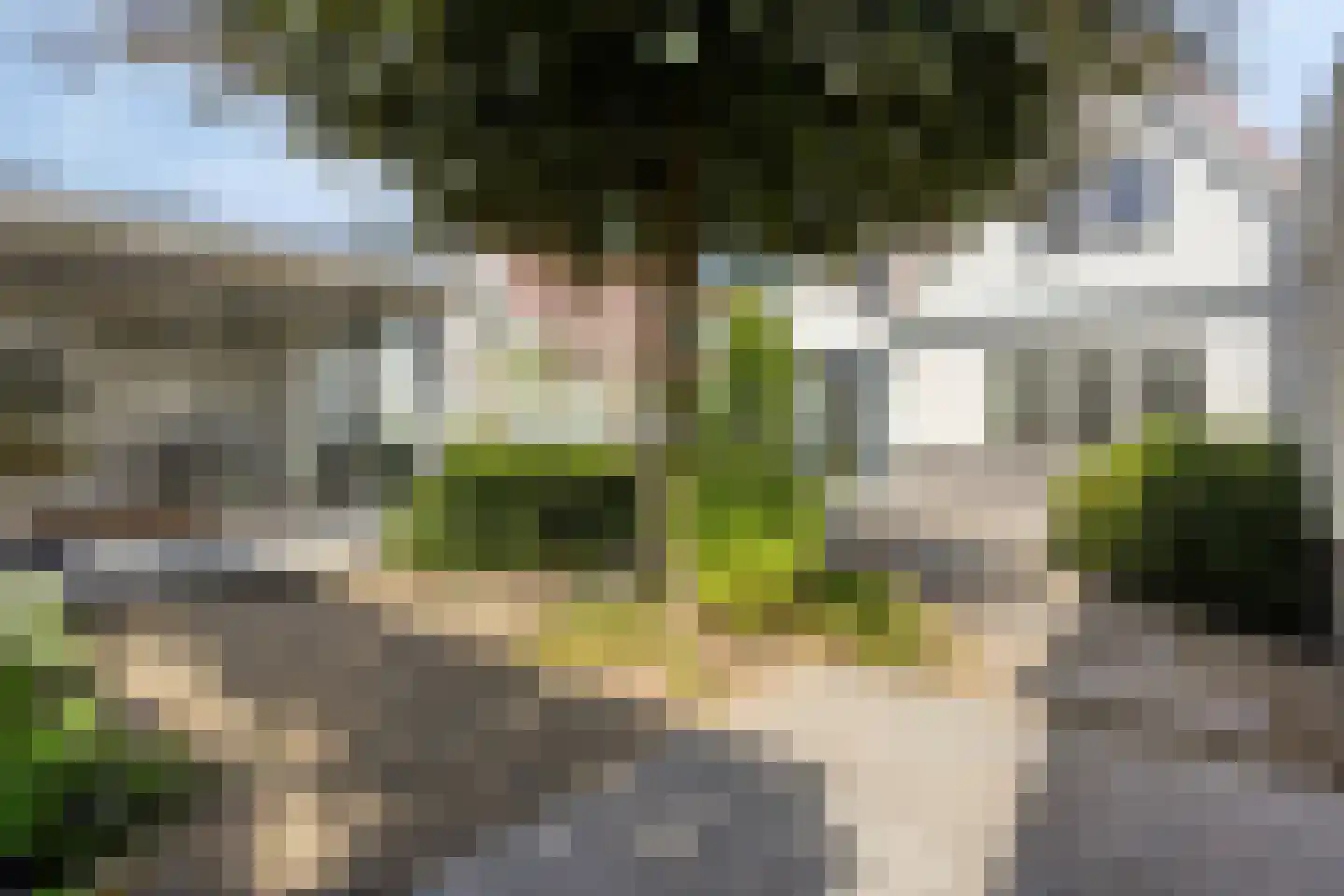 de Loonwerker 5 Leende thumbnail 62