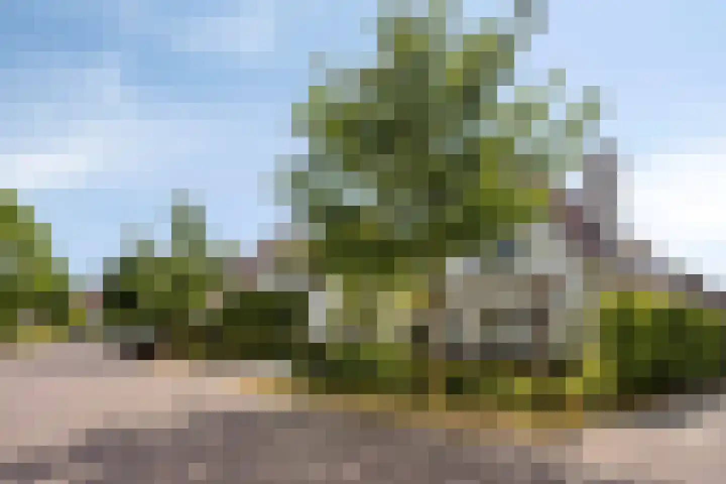 de Loonwerker 5 Leende thumbnail 9