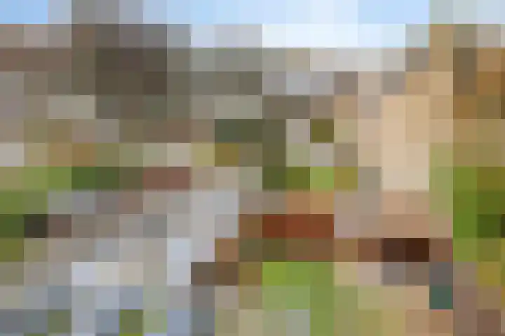 De Loop 12 Veldhoven thumbnail 31
