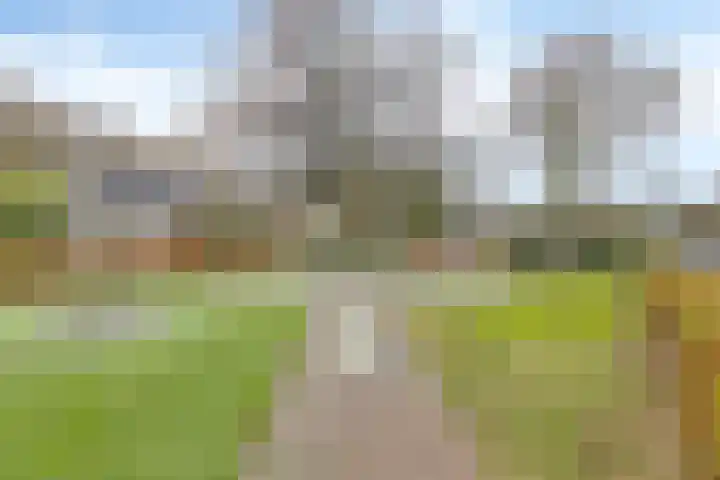 De Loop 12 Veldhoven thumbnail 4