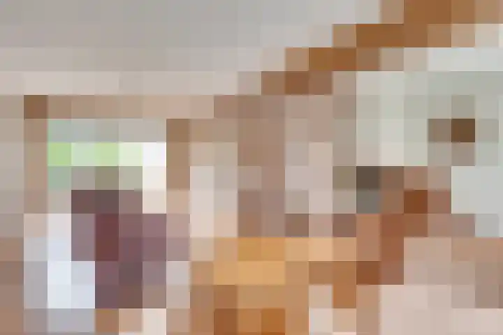 De Loop 16 Veldhoven thumbnail 10