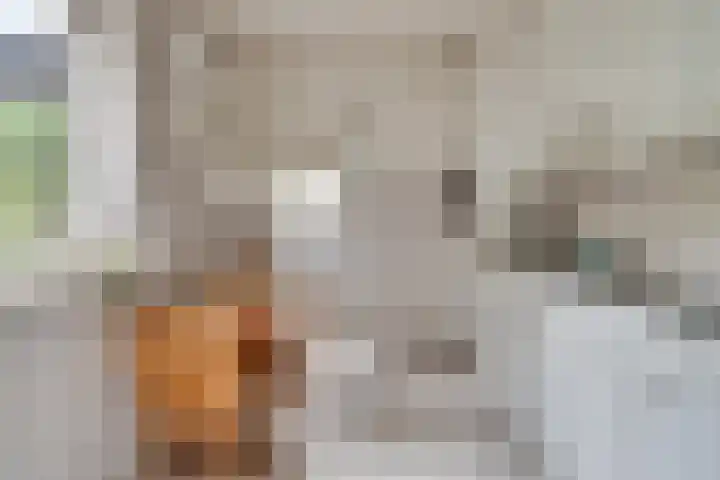 De Loop 16 Veldhoven thumbnail 12