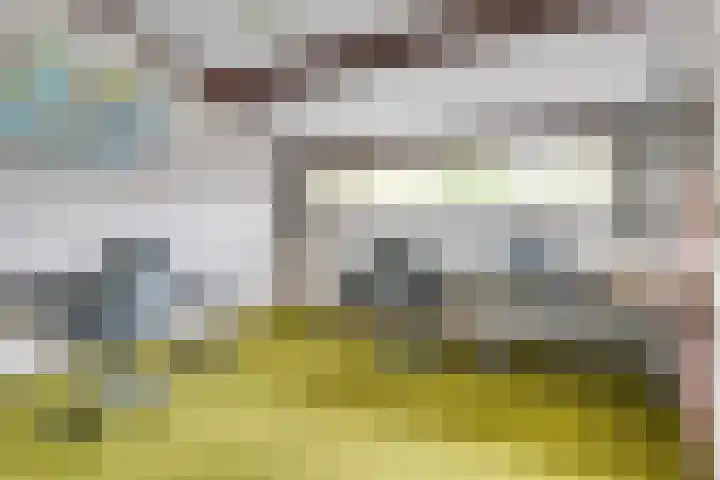 De Loop 16 Veldhoven thumbnail 26