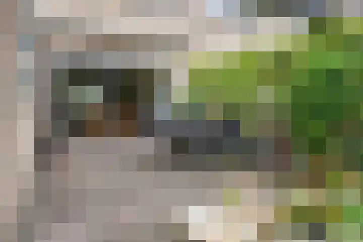 De Loop 16 Veldhoven thumbnail 28