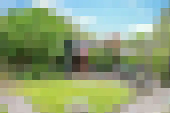 De Loop 16 Veldhoven thumbnail 31