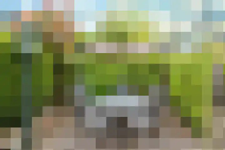 De Loop 16 Veldhoven thumbnail 32