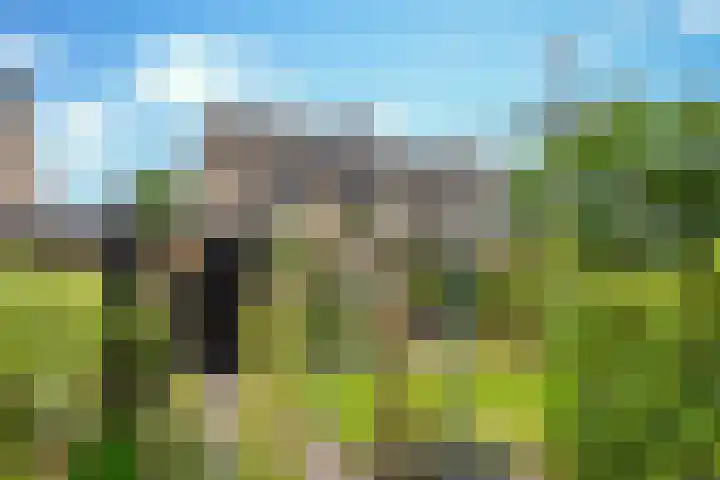 De Loop 16 Veldhoven thumbnail 34