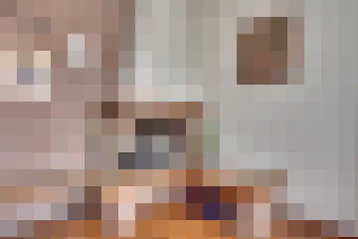 De Loop 16 Veldhoven thumbnail 8