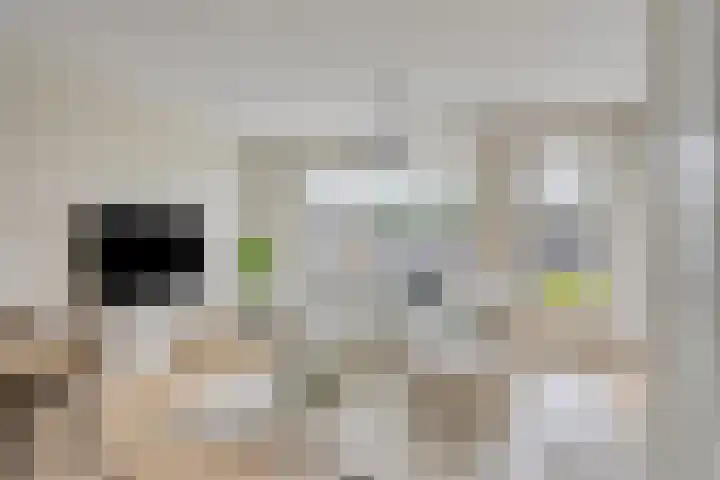 De Loop 17 Soerendonk thumbnail 16