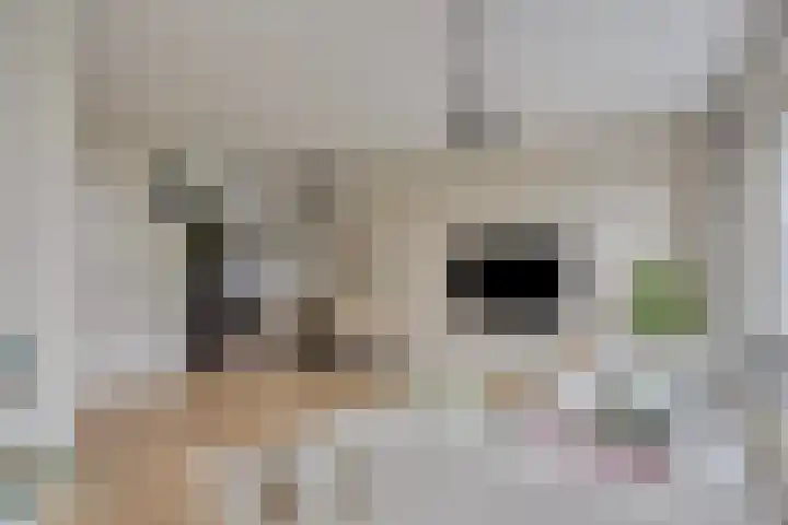 De Loop 17 Soerendonk thumbnail 18