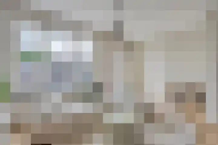De Loop 17 Soerendonk thumbnail 20