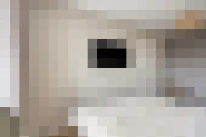 De Loop 17 Soerendonk thumbnail 28