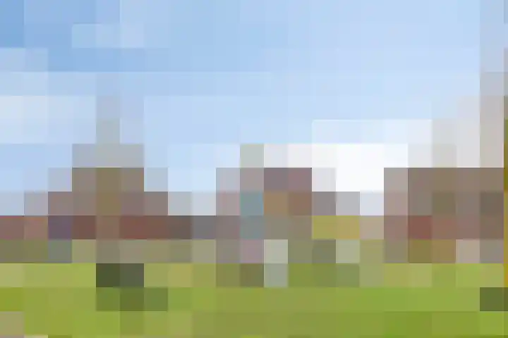 De Loop 17 Soerendonk thumbnail 40