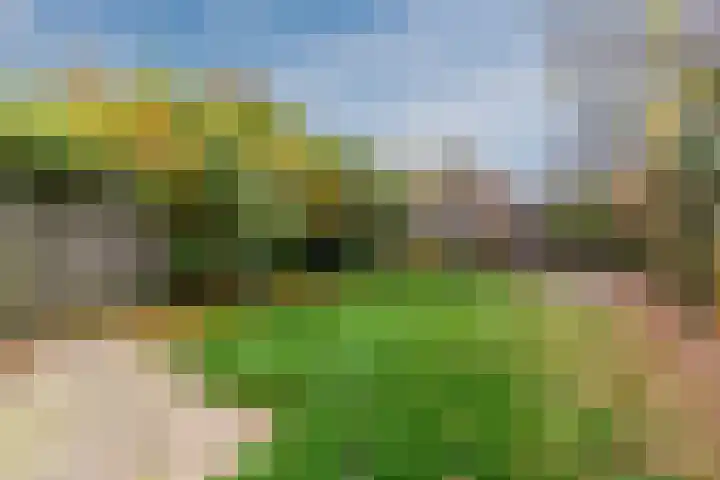 De Loop 18 Veldhoven thumbnail 32