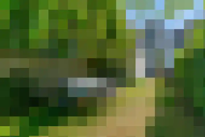 De Loop 2 Veldhoven thumbnail 19