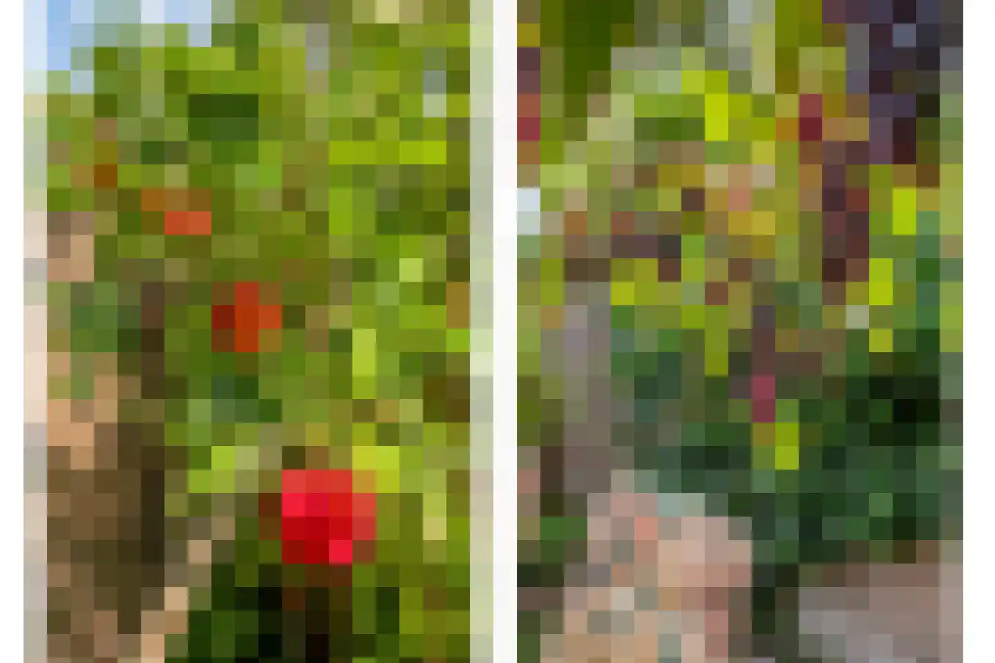 De Loop 9 Veldhoven thumbnail 38