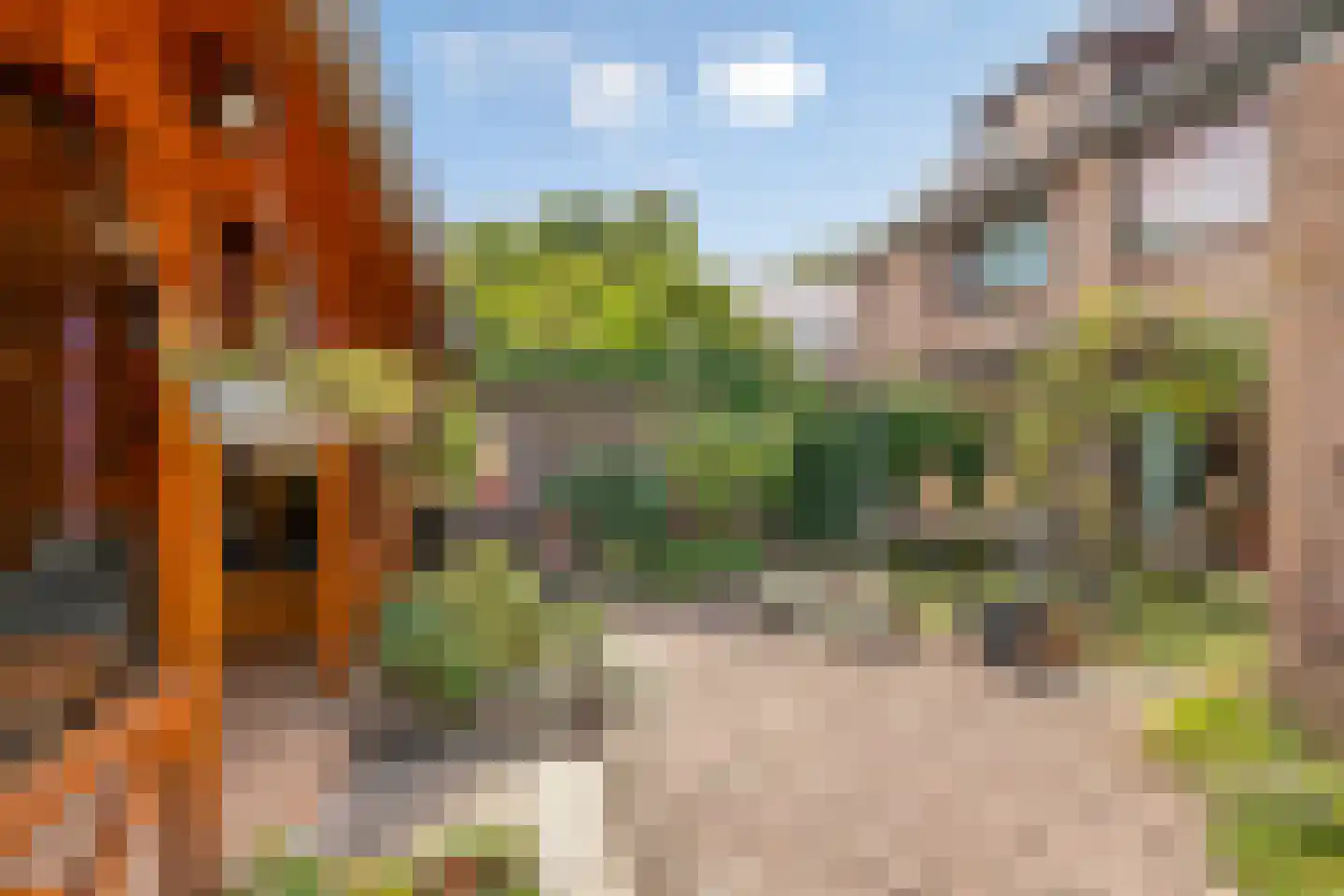 De Loop 9 Veldhoven thumbnail 39