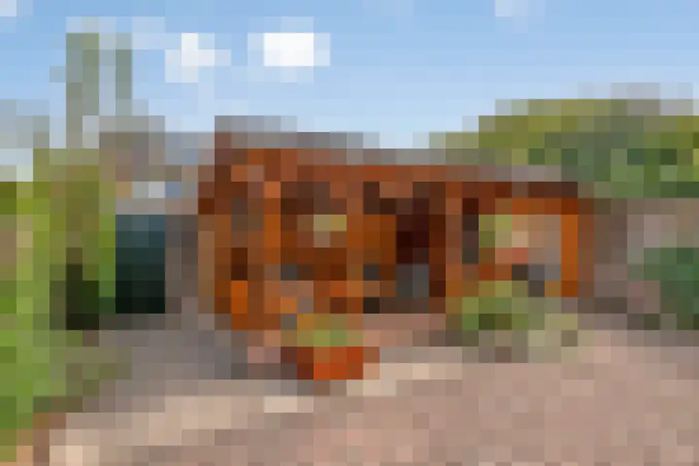 De Loop 9 Veldhoven thumbnail 6