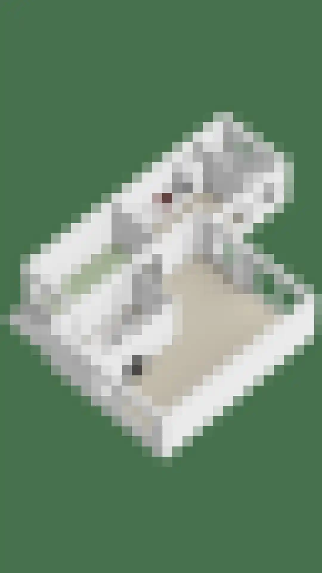 De Loop 9 Veldhoven thumbnail 73