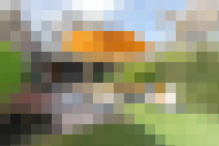 De Loper 17 in Assendelft