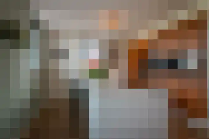De Loper 17 Assendelft thumbnail 11