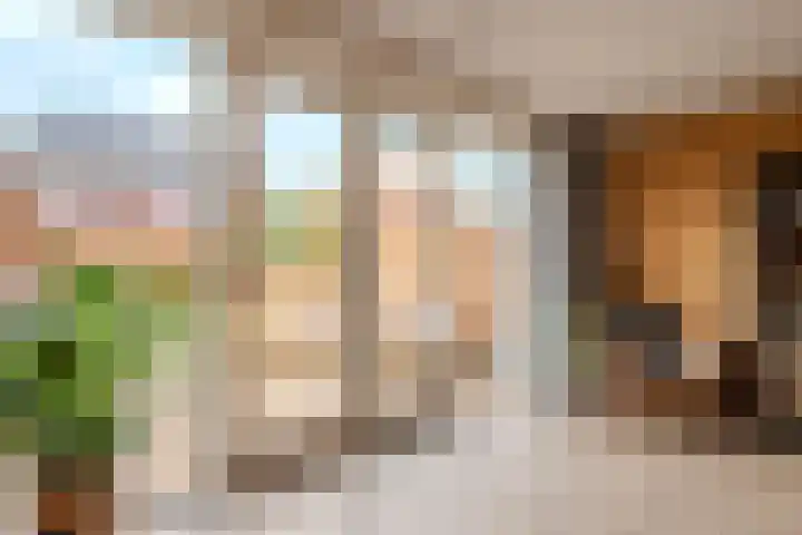 De Loper 17 Assendelft thumbnail 13
