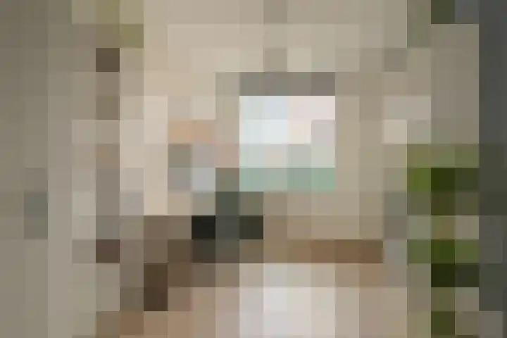De Loper 17 Assendelft thumbnail 19