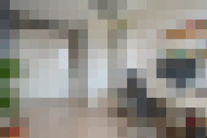 De Loper 17 Assendelft thumbnail 20