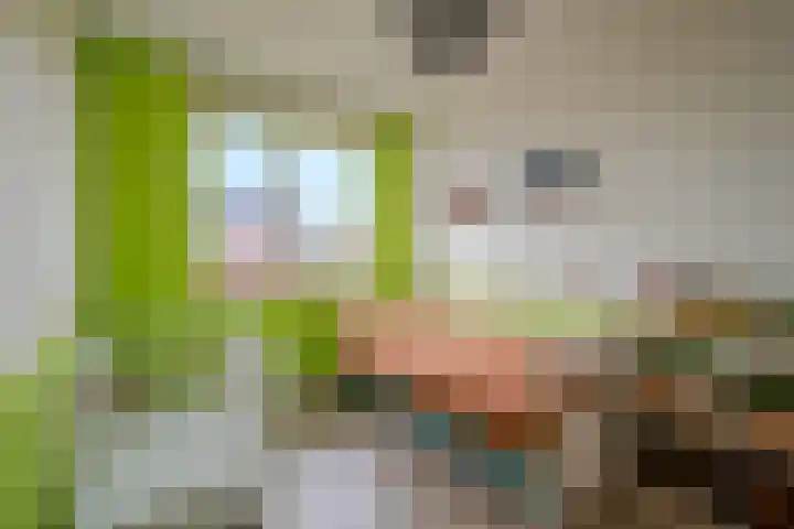 De Loper 17 Assendelft thumbnail 21