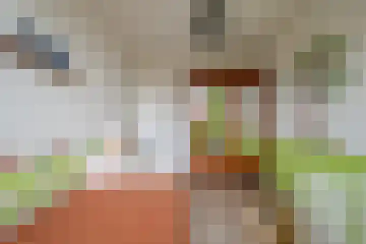 De Loper 17 Assendelft thumbnail 22