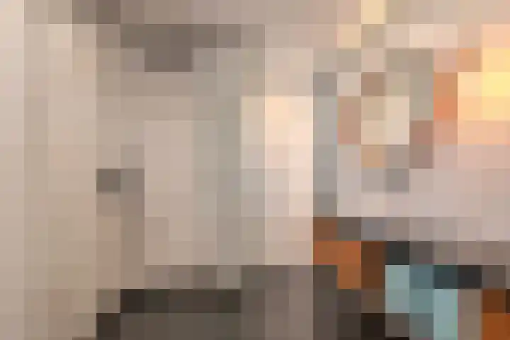 De Loper 17 Assendelft thumbnail 25