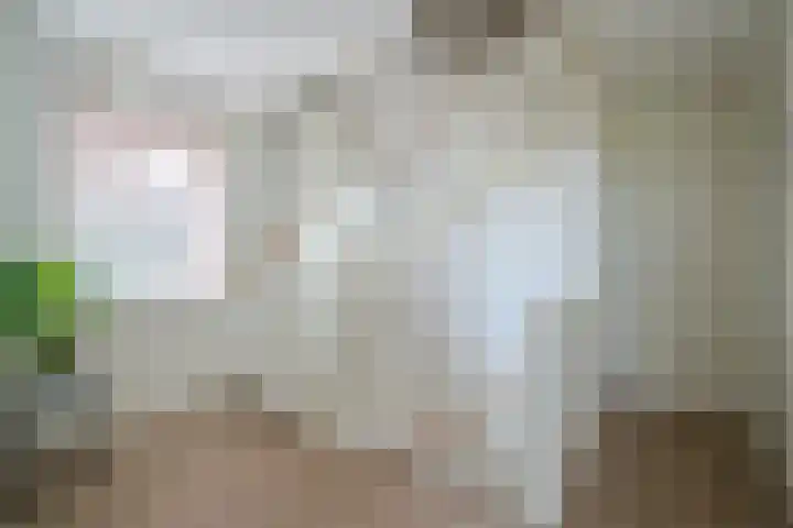 De Loper 17 Assendelft thumbnail 27