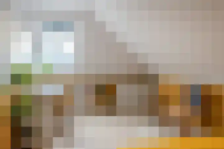 De Loper 17 Assendelft thumbnail 29
