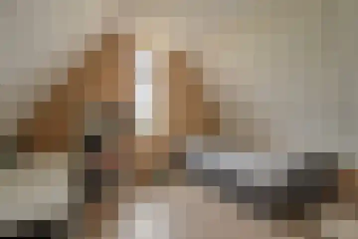 De Loper 17 Assendelft thumbnail 32