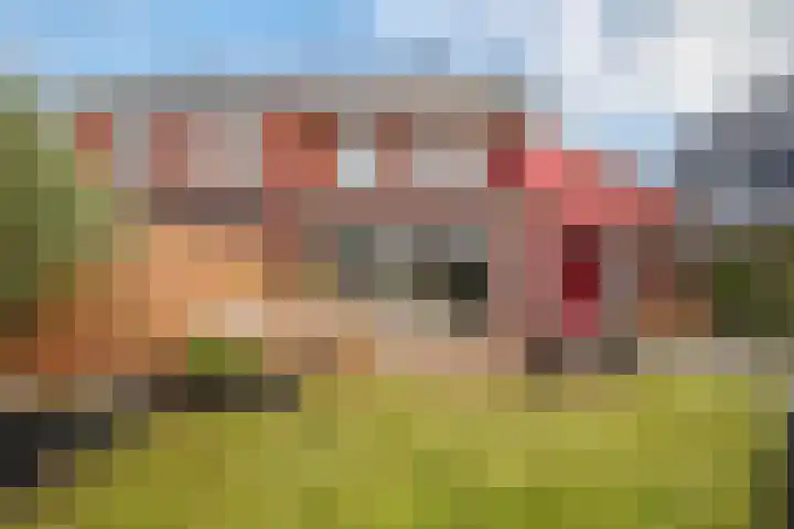 De Loper 17 Assendelft thumbnail 35