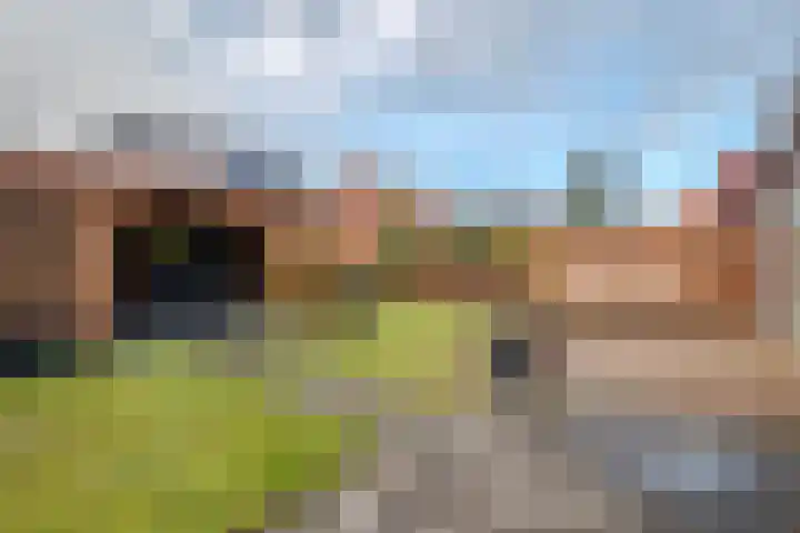 De Loper 17 Assendelft thumbnail 36