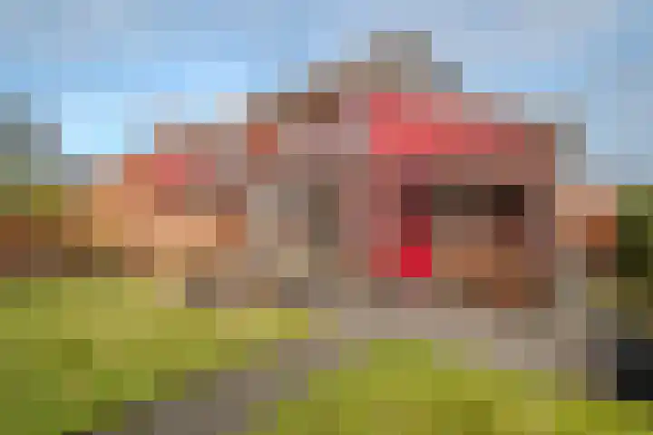De Loper 17 Assendelft thumbnail 38