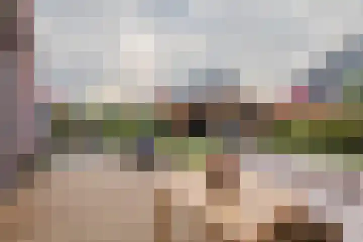 De Loper 17 Assendelft thumbnail 39