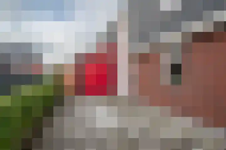 De Loper 17 Assendelft thumbnail 40