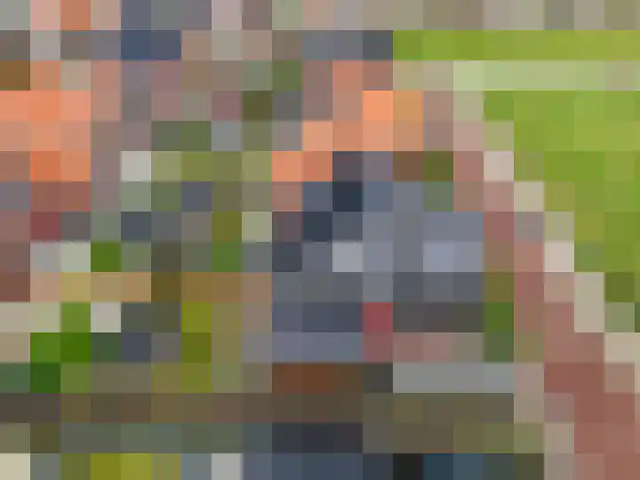 De Loper 17 Assendelft thumbnail 42