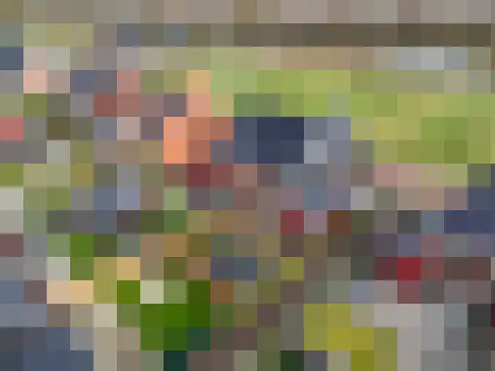 De Loper 17 Assendelft thumbnail 43