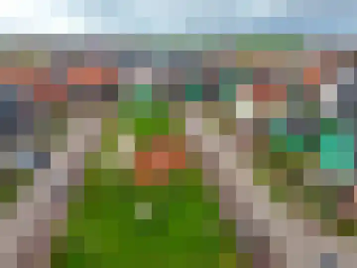 De Loper 17 Assendelft thumbnail 44