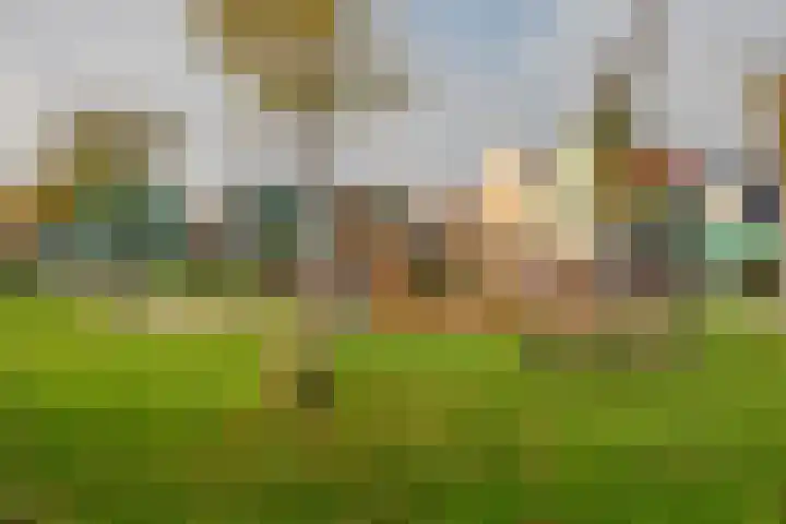 De Loper 17 Assendelft thumbnail 45