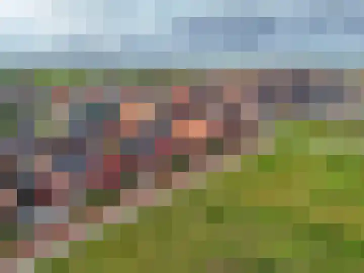De Loper 17 Assendelft thumbnail 50